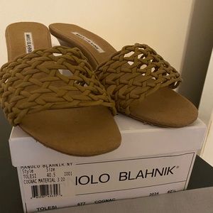 Manolo Blahnik Tolesi Cognac Wedges